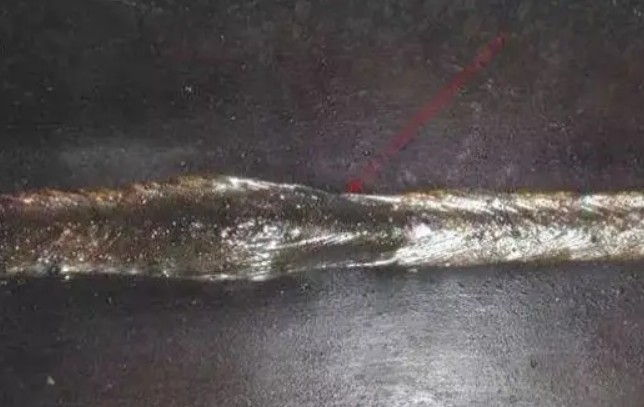 QQ20251024-081616.jpg